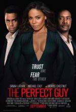 Watch The Perfect Guy Movie25
