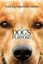 Watch A Dog's Purpose Movie25