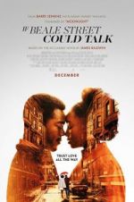 Watch If Beale Street Could Talk Movie25