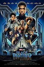 Watch Black Panther Movie25