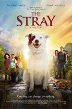 Watch The Stray Movie25