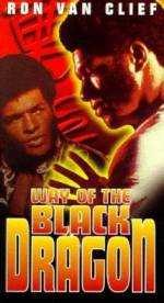 Watch Way of the Black Dragon Movie25