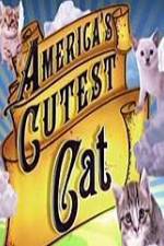 Watch America's Cutest Cat Movie25