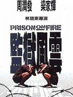 Watch Prison on Fire Movie25