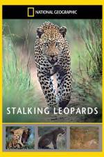 Watch National Geographic: Stalking Leopards Movie25