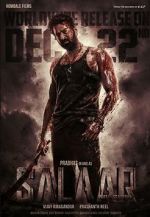 Watch Salaar Movie25