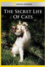 Watch National Geographic The Secret Life of Cats Movie25