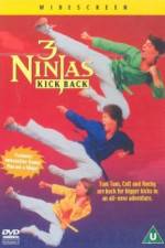 Watch 3 Ninjas Kick Back Movie25