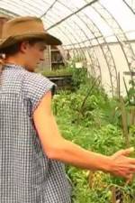 Watch Green House Seeds Strain Hunters India Expedition Movie25