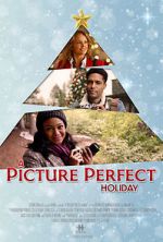 Watch A Picture Perfect Holiday Movie25