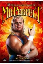 Watch The Life and Times of Mr Perfect Movie25
