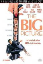 Watch The Big Picture Movie25