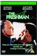 Watch The Freshman Movie25