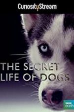 Watch Secret Life of Dogs Movie25