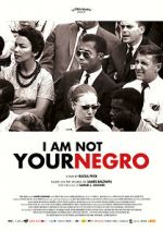 Watch I Am Not Your Negro Movie25