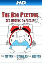 Watch The Big Picture Rethinking Dyslexia Movie25