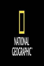 Watch National Geographic Wild Animal Attacks On Vacation Movie25