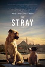 Watch Stray Movie25