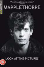 Watch Mapplethorpe: Look at the Pictures Movie25