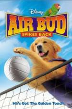 Watch Air Bud Spikes Back Movie25