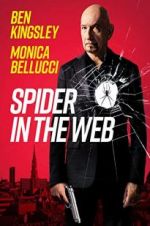 Watch Spider in the Web Movie25