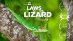Watch Laws of the Lizard Movie25