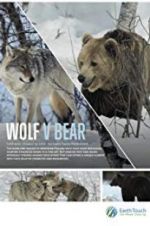 Watch Wolf vs Bear Movie25