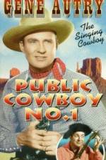 Watch Public Cowboy No 1 Movie25