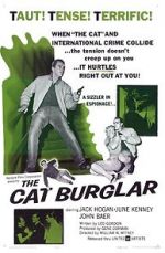 Watch The Cat Burglar Movie25