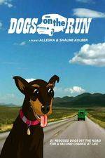 Watch Dogs on the Run Movie25