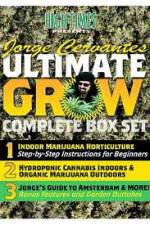 Watch Jorge Cervantes Ultimate Grow Complete Box Set Movie25