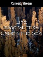 Watch Life 2,000 Meters Under the Sea Movie25