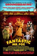 Watch Fantastic Mr Fox Movie25