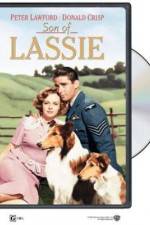 Watch Son of Lassie Movie25