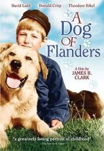 Watch A Dog of Flanders Movie25