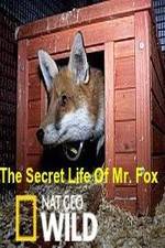 Watch The Secret Life of Mr. Fox Movie25