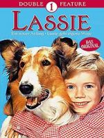 Watch Lassie: A New Beginning Movie25