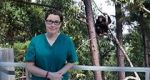 Watch Sue Perkins and the Chimp Sanctuary Movie25