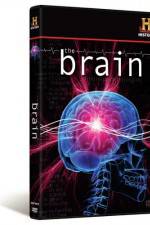 Watch The Brain Movie25