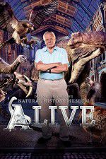 Watch David Attenborough\'s Natural History Museum Alive Movie25
