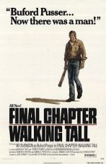 Watch Final Chapter: Walking Tall Movie25