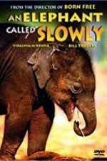 Watch An Elephant Called Slowly Movie25