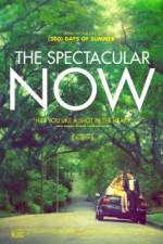 Watch The Spectacular Now Movie25