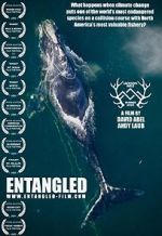 Watch Entangled: The Race to Save Right Whales from Extinction Movie25