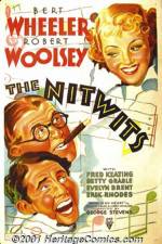 Watch The Nitwits Movie25