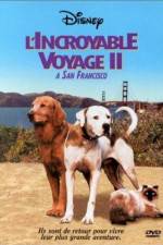 Watch Homeward Bound II Lost in San Francisco Movie25