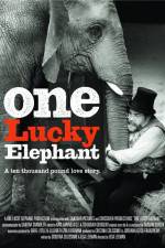 Watch En lycklig elefant Movie25