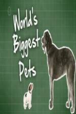 Watch World's Biggest Pets Movie25