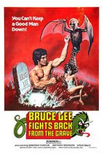 Watch Bruce Lee Fights Back from the Grave Movie25