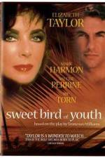 Watch Sweet Bird of Youth Movie25
